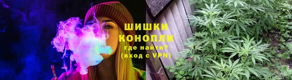 индика Верхний Тагил