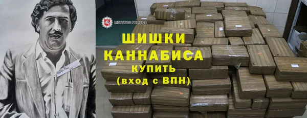 индика Верхний Тагил