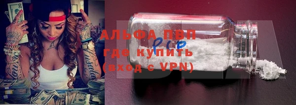 индика Верхний Тагил