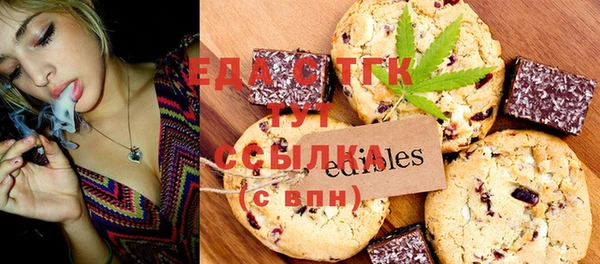 индика Верхний Тагил