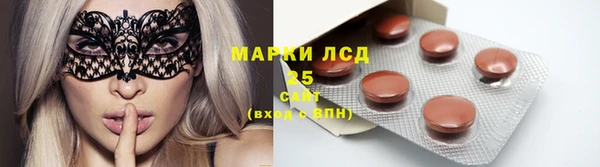 индика Верхний Тагил