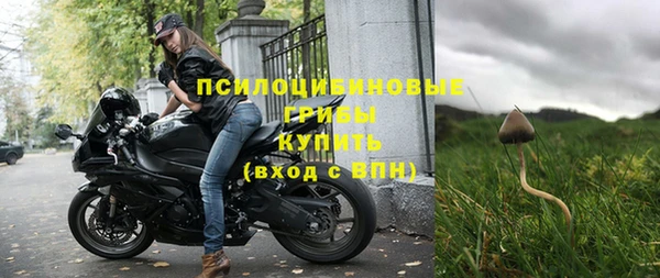 индика Верхний Тагил