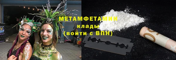 индика Верхний Тагил