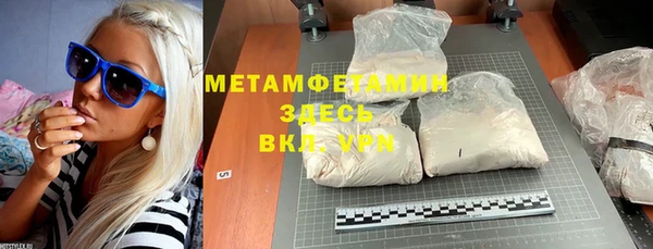 индика Верхний Тагил